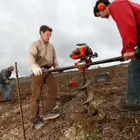 Vigneron plantant une nouvelle parcelle avec des pieds de Pinot noir dans la vallee de la Marne en AOC Champagne.Droit de plantation.