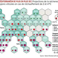 Graphique : Le bassin méditerranéen de plus en plus secProjections de la sécheresse pour les régions viticoles en cas de réchauffement de 2 et 4°C