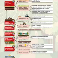 Graphique : Sept grands axes pour gérer les stress hydrique et thermiqueLes leviers d’adaptation à la parcelle ont été identifiés dans le cadre des tr