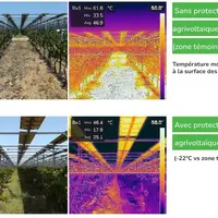 Mesure comparée avec une caméra thermique réalisée le 20 juillet 2023 par une température de l'air de 30°C.