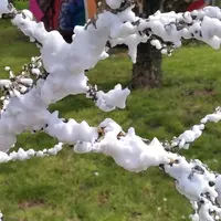Le Biogel d’AquaGreen Protect est pulvérisé sur la vigne sous forme de mousse. En séchant, cette dernière protégerait la vigne du gel.