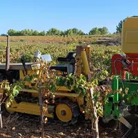 Mathieu Ledogar, vigneron audois, a opté pour des chenillards Saint-Chamond de 45 ch afin de diminuer les tassements de ses sols. Il constate en outre