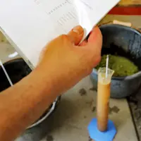 Préparation des vendanges en Champagne. Controle et mesure du degre alcoolique a partir d echantillons de raisin recoltes dans les vignes avant les ve