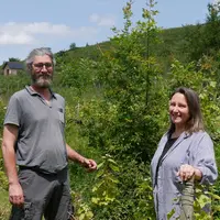 Cédric Aubert et Véronique Gourdon laissent la nature s'installer dans les vignes tout en maîtrisant le nombre et la taille des végétaux.