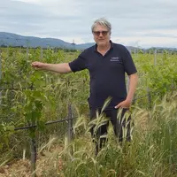 Benjamin Meï met en œuvre les principes de la permaculture et de l'hydrologie régénératrice pour des vignes plus résilientes.