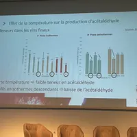 Lors des différents essais de variation de la température pour limiter la synthèse d'acétaldéhyde, le profil le plus intéressant a été obtenu en comme