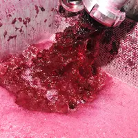 Remontage au Château La Louvière à Pessac Léognan en Gironde. Vinification en rouge. Pratiques oenologiques.