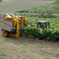 Les machines tractées séduisent de plus en plus les viticulteurs pour leur bonne rentabilité.