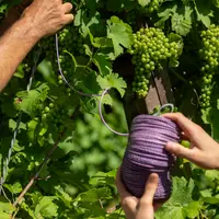 Ecodian LB contient les phéromones contre eudémis dans un fil biodégradable.