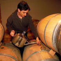 Vigne / ouillage de fûts / Bordelais Médoc Pauillac / Lynch Bâges
