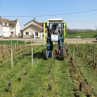 Travail du sol intercep en vigne étroite, à Vosne-Romanée, Côte-d'Or, Bourgogne, enjambeur Bobard LCC60, intercep Petalmatic de Boisselet, Domaine A