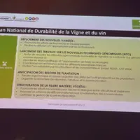 Slide sur le matériel végétal du PNDV.