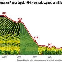 Graphique : Surfaces de vignes en France depuis 1994, y compris cognac en milliers d'hectares