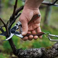 Sécateur manuel Felco 8 Elite en train de tailler des sarments de vigne.