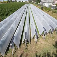 Dispositif de bâches protectrices de vignes contre les aléas météorologiques Viti-Tunnel