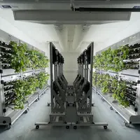 Plants de vigne dans le Cube de l'entreprise Farm3.