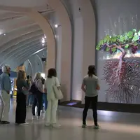 Les visiteurs de la Cité du Vin découvrent la vidéo projetée sur le cep de vigne géant