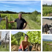 Best of des témoignages 2024