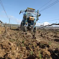 Viticulture. Travail du sol dans le vignoble champenois. labour d'une parcelle de vigne dans la Marne. outil monté sur un