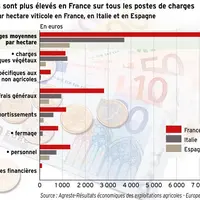 Comparaison des coûts des entreprises viticoles françaises, italiennes et espagnoles.