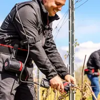 Attacheur filaire Infaco AT1000 à la vigne