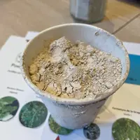 Échantillon du biostimulant FertiRoc, sous forme de poudre.