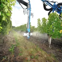 Viticulture. Traitement dans les vignes. Pulvérisateur Berthoud. rampe AB-Most protection du vignoble. Utilisation de produits