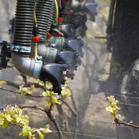 Vigneron en Bio pulverisant un traitement preventif contre le mildiou compose de Valeriana Oficinalis ou Reine des Pres avec u