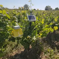 Piège à insecte connecté CapTrap