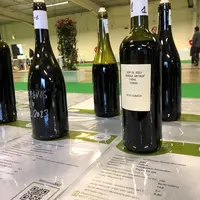 Vins disponibles en vrac présentés à la dégustation à Millésime bio 2024, à Montpellier, du 29 au 31 janvier 2024.