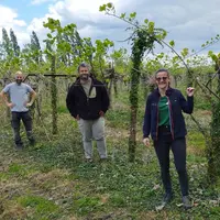 La famille Hauselmann dans sa parcelle de kiwis.