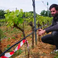 <em class="placeholder">Antoine Lespès, chargé de projets R&amp;D au domaine Lafage</em>