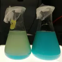 Comparaison de deux béchers contenant du cuivre et du chitosan (à gauche), et du cuivre avec du Novochizol (à droite).