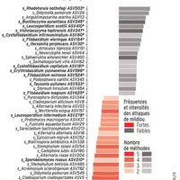 Graphique sur la présence des champignons en fonction de la fréquence et de l'intensité du mildiou