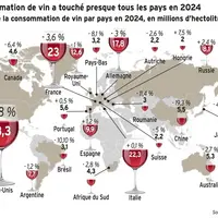 <em class="placeholder">Graphique représentant l'évolution de la consommation mondiale de vin par pays.</em>