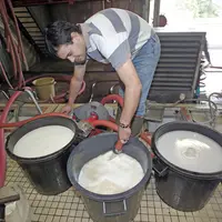 preparation et incorporation de la solution
la desacidification permet la neutralisation par un sel de bicarbonate de potassiu