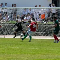 Match de finale du VinoEuro 2024 qui opposait la Hongrie et le Portugal.