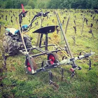 Motoculteur dans une vigne.