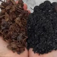 Marcs et biochar