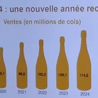 Graphique sur l'évolution des ventes de crémant