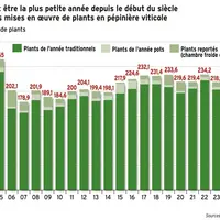 <em class="placeholder">2025 devrait être la plus petite année depuis le début du siècle pour les mises en œuvre de plants de vigne.</em>