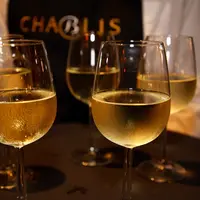 Vigne / vins de Bourgogne blancs / dÃ©gustation de Chablis / bar Ã  vins