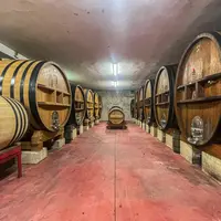 foudres d'élevage des rouges Domaine Ray-Jane