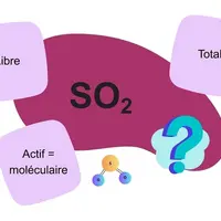 schéma : quel SO2 choisir