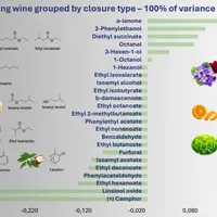 différences entre capsules et bouchon liège au tirage sur les aromes des vins