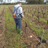 <em class="placeholder">Saisonnier déraquant la vigne.</em>