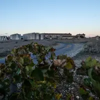 Cave Arnaud de Villeneuve, à Rivesaltes