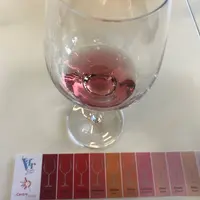 Dégustation d'un vin rosé lors d'un atelier au salon Vinitech 2022 sur les rosés du monde