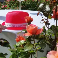 rose parfum de Loire