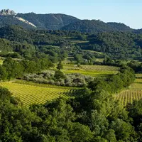 Vignoble de Sablet